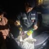 Jelang Ramadan, Polres Ciamis “Sikat” Peredaran Miras di Jembatan Cirahong
