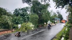Jalan Penghubung Saguling-Sukamulya Tergerus Longsor, Polisi dan Warga Bahu-Membahu Amankan Jalur