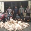Polsek Panjalu Ungkap Kasus Pencurian Puluhan Ayam di Farm Simpar, Tiga Pelaku Diamankan