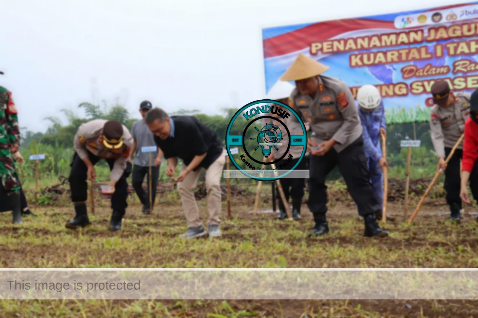 Kapolres Ciamis, AKBP H. Hidayatullah saat menanam jagung di Kecamatan Cikoneng