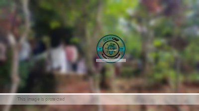 Kegiatan tahlil akbar warga Dusun Desa, Desa Sukamaju Ciamis di Makam Dalem