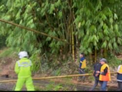 Hujan Angin di Garut, Polisi dan BPBD Berjibaku Singkirkan Pohon Tumbang di Jalur Kadungora