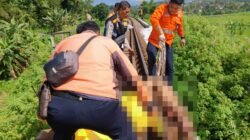 Lansia 72 Tahun Tewas Tertabrak KA Argo Wilis di Jembatan Leuwigoong
