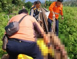 Lansia 72 Tahun Tewas Tertabrak KA Argo Wilis di Jembatan Leuwigoong