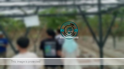 Tirta Sumber Jaya Ciamis Hadirkan Paket Agrowisata Buah dan Wahana Kereta Keliling