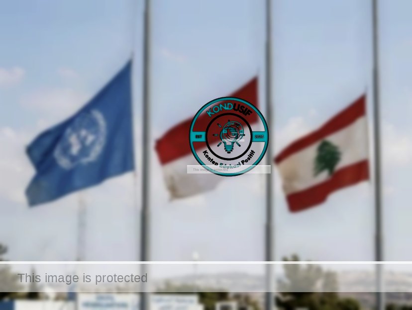 Sumber foto: Puspen TNI