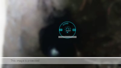 Damkar Ciamis Berhasil Evakuasi Pria yang Terjatuh ke Sumur Sedalam 10 Meter (dok: Damkar Kabupaten Ciamis)