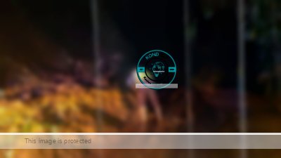 Jalur Pakenjeng Garut Sempat Lumpuh Tertutup Longsor, Polisi Turun Tangan