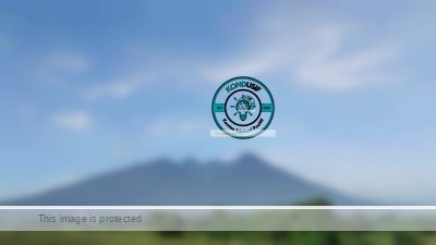 Bikin Betah! Intip Spot Tersembunyi di Pasir Jaya untuk Lihat Gunung Salak