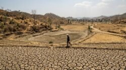 Foto: ilustrasi/kondusif.com/fauza