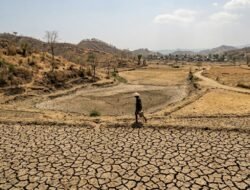 Waspada! BMKG Sebut Kemarau di Jabar Tahun Ini Bakal Lebih Kering dan Panjang