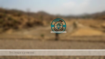 Foto: ilustrasi/kondusif.com/fauza