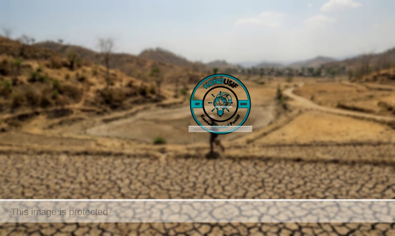 Foto: ilustrasi/kondusif.com/fauza