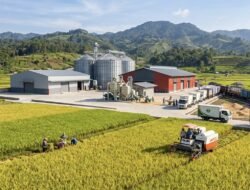 Presiden Prabowo Terbitkan 3 Regulasi Baru Percepat Swasembada Pangan