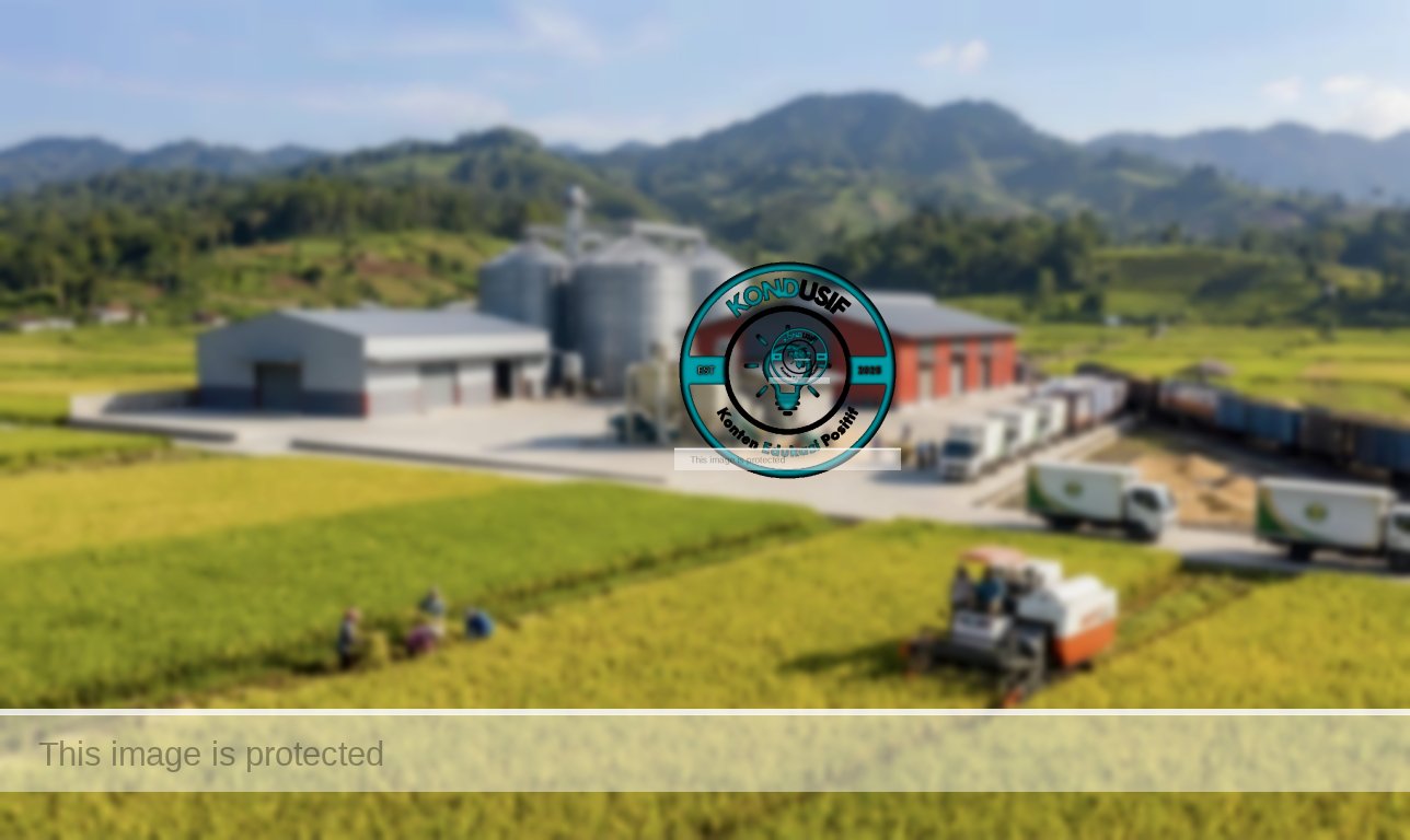 Foto: ilustrasi/kondusif/fauza