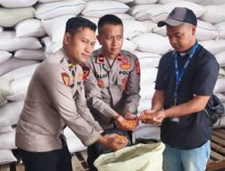 Polres Garut Serap 15,25 Ton Jagung Petani, Langsung Masuk Gudang Bulog