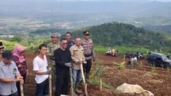 Dinas Pertanian Kabupaten Ciamis mulai serius melirik sorgum sebagai pilar baru ketahanan pangan daerah, (foto: istimewa).