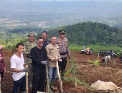 Perkuat Ketahanan Pangan, Ciamis Mulai Garap Potensi Sorgum di Panjalu