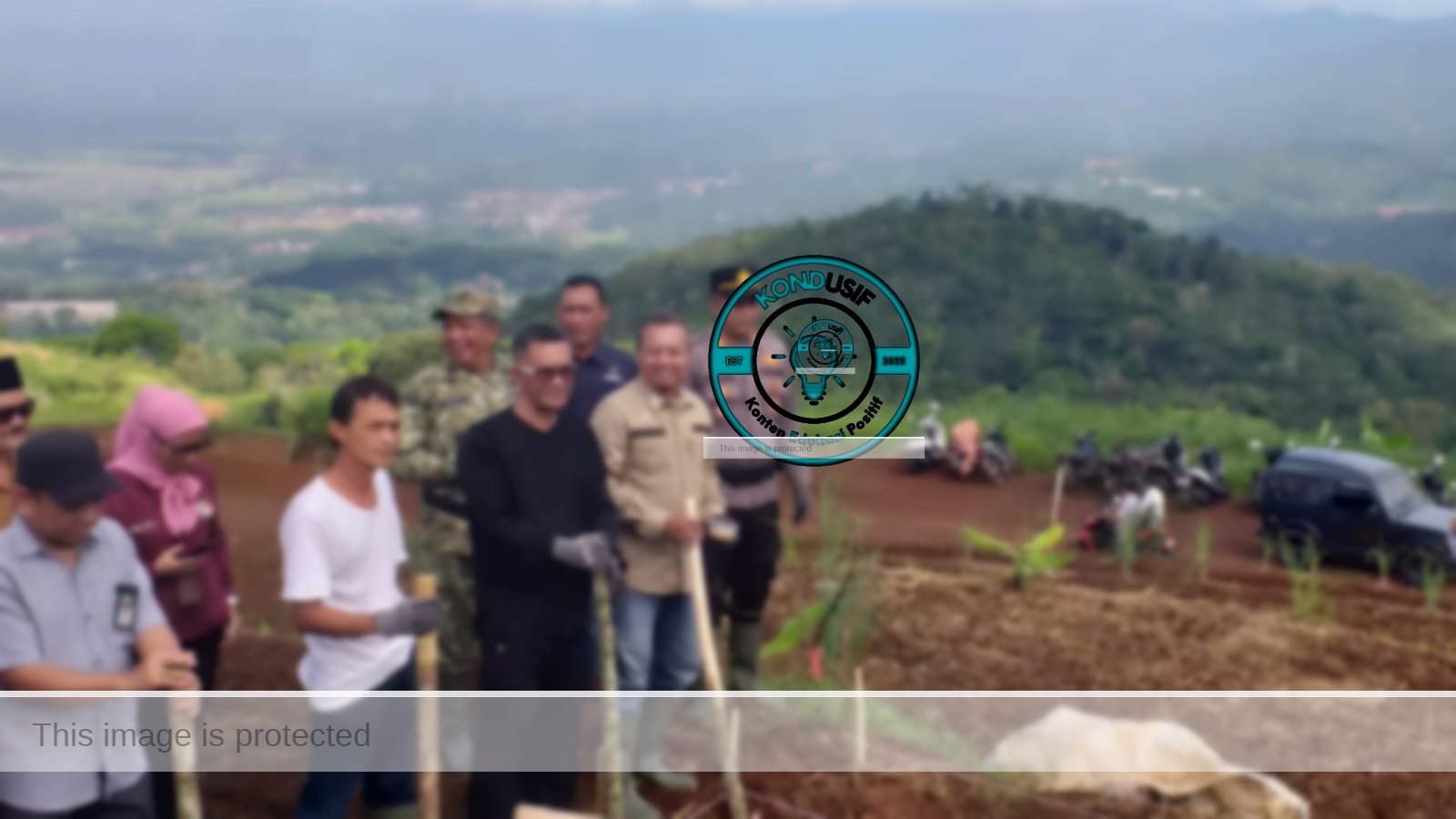 Dinas Pertanian Kabupaten Ciamis mulai serius melirik sorgum sebagai pilar baru ketahanan pangan daerah, (foto: istimewa).