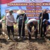 Polres Ciamis Tanam Jagung Serentak di Maleber, Dukung Swasembada Pangan Nasional