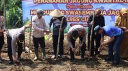Polres Ciamis Tanam Jagung Serentak di Maleber, Dukung Swasembada Pangan Nasional