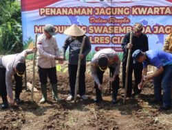 Polres Ciamis Tanam Jagung Serentak di Maleber, Dukung Swasembada Pangan Nasional