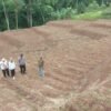 Polres Garut Sulap Lahan Tidur Jadi Kebun Jagung 1 Hektare di Sukawening