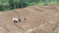 Polres Garut Sulap Lahan Tidur Jadi Kebun Jagung 1 Hektare di Sukawening