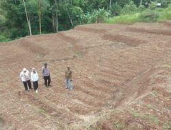 Polres Garut Sulap Lahan Tidur Jadi Kebun Jagung 1 Hektare di Sukawening