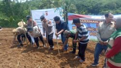 Polres Ciamis dan Pemuda Muhammadiyah “Turun ke Sawah”: Garap Jagung Demi Swasembada
