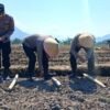 Polisi Turun ke Sawah: AKBP Yugi Pimpin Penanaman Jagung di Leles Demi Target Swasembada 2026