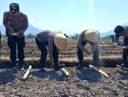 Polisi Turun ke Sawah: AKBP Yugi Pimpin Penanaman Jagung di Leles Demi Target Swasembada 2026