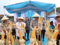 Polres Garut Bareng Warga Sukawening Panen Raya Jagung Kuartal II 2026