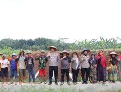 Mantap! Kapolres Ciamis Sulap Lahan Tandus Jadi Kebun Tumpang Sari 2 Hektar