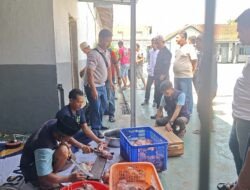 Mengetuk Keikhlasan dari Balik Jeruji: Petugas dan Warga Binaan Lapas Ciamis Gotong Royong Potong Hewan Kurban