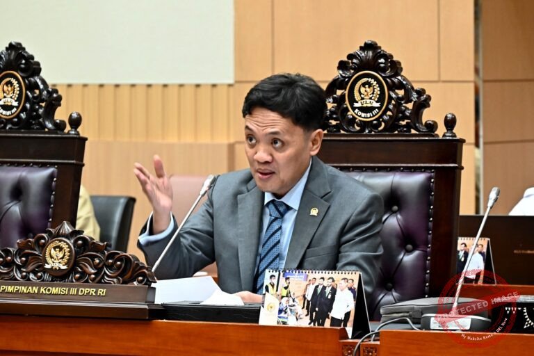 Ketua Komisi III DPR RI Habiburokhman (foto: DPR RI)