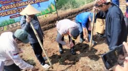 Satreskrim Polres Ciamis Kawal Ketat Serapan Jagung ke BULOG