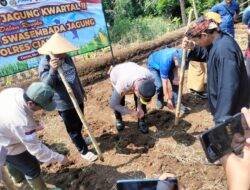 Satreskrim Polres Ciamis Kawal Ketat Serapan Jagung ke BULOG