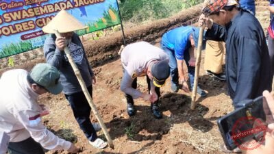 Satreskrim Polres Ciamis Kawal Ketat Serapan Jagung ke BULOG