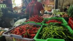 Bawang Merah dan Tomat di Ciamis Meroket, Cabai Mulai Turun