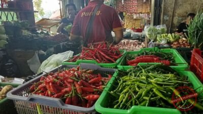 Deretan cabai segar dipajang di lapak milik Bu Seni di Pasar Manis Ciamis, Senin (15/6/2026). Meski harga komoditas cabai merah mulai jinak, para konsumen di Ciamis masih harus menyiasati lonjakan harga bawang merah yang kini menyentuh Rp 48.000 per kilogram serta tomat yang naik menjadi Rp 18.000 per kilogram. ​(Foto: Istimewa)