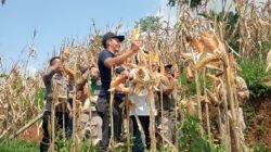 Polsek Rancah Amankan Kunjungan Kerja Komisi IV DPR RI di Tambaksari