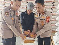 Kawal Ketahanan Pangan, Polres Garut dan Polsek Banjarwangi Pastikan 2 Ton Jagung Terserap Bulog
