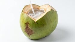 Bukan Cuma Segar, Ini Manfaat Air Kelapa Muda untuk Metabolisme Tubuh