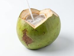 Bukan Cuma Segar, Ini Manfaat Air Kelapa Muda untuk Metabolisme Tubuh