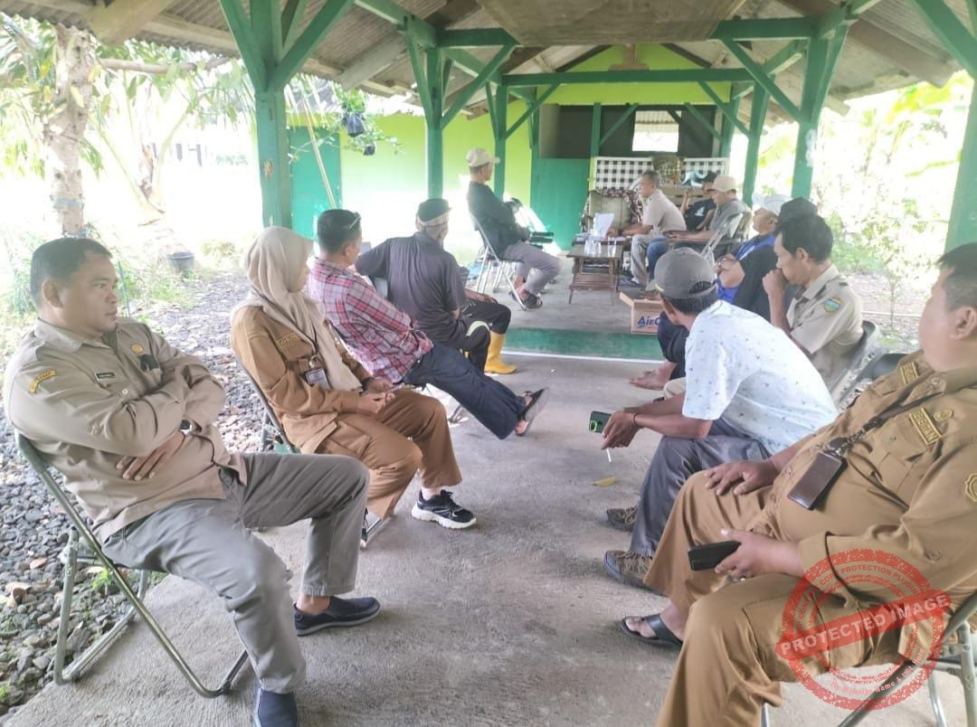 Perubahan Jadwal Air Irigasi DI Cimulu Tuai Protes, Petani Manonjaya Waswas Gagal Panen. (Dok, foto. Kondusif.com/Heni)