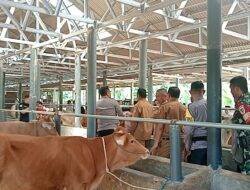 Program Ketahanan Pangan Desa Rancah Mulai Berbuah Hasil, Peternakan Sapi dan Kambing Jadi Andalan