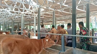 Pemerintah desa Rancah mengembangkan sektor peternakan sapi dan kambing yang kini telah berjalan dan mulai memberikan manfaat.