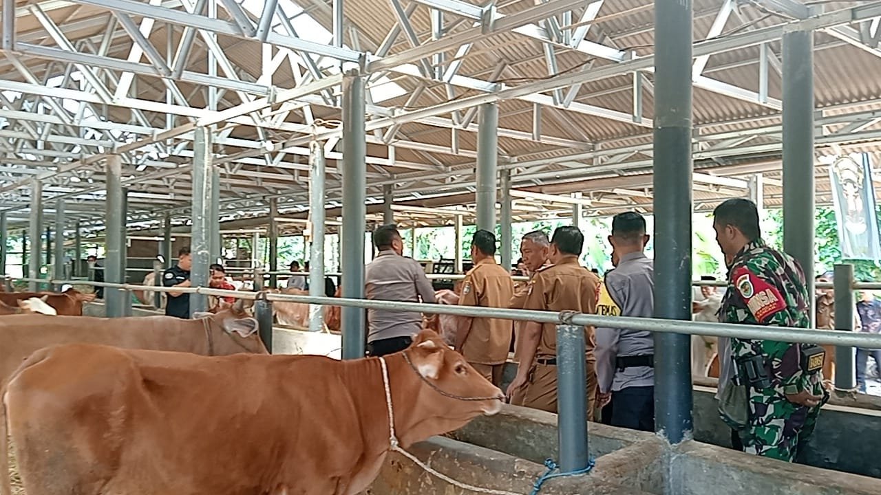 Pemerintah desa Rancah mengembangkan sektor peternakan sapi dan kambing yang kini telah berjalan dan mulai memberikan manfaat.