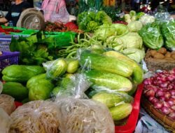 Harga Mentimun di Pasar Manis Ciamis Melonjak, Tembus Rp16 Ribu per Kilogram